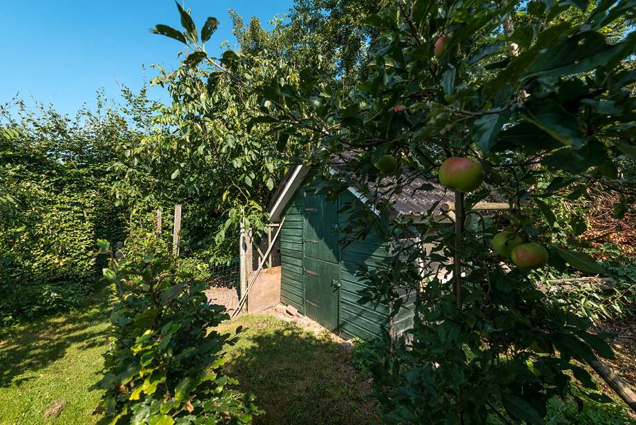 Interieurfotograaf woonboerderij - kippenhok en boomgaard