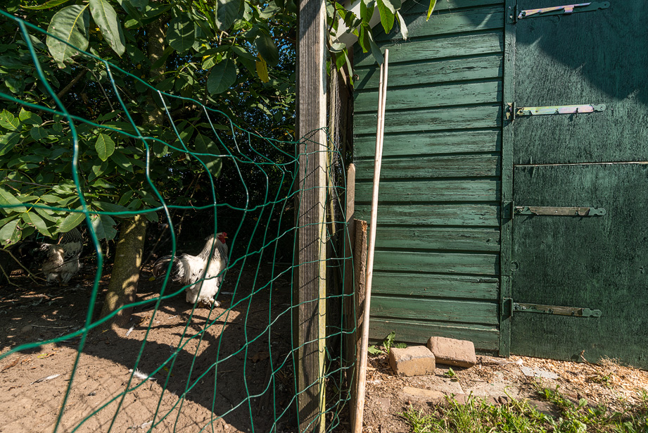 Interieurfotograaf woonboerderij - kippenhok en boomgaard