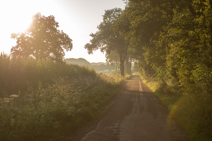 Ochtendwandeling in Schaijk