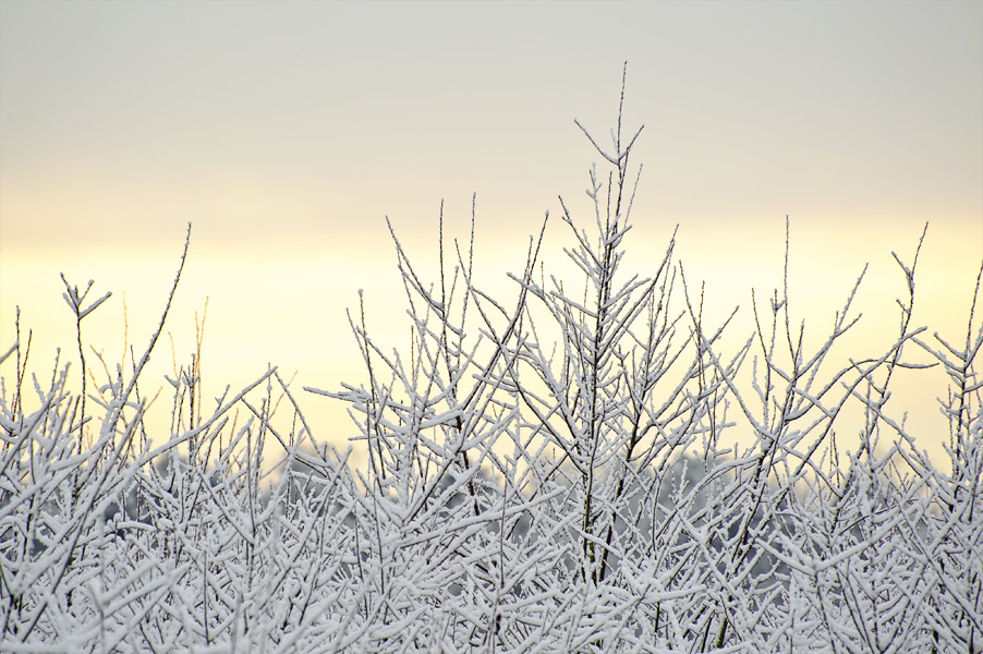 Sneeuwfoto's in Noord-Brabant