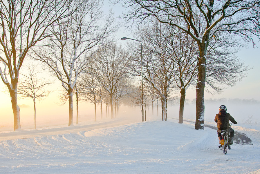 Besneeuwde weg in Noord-Brabant